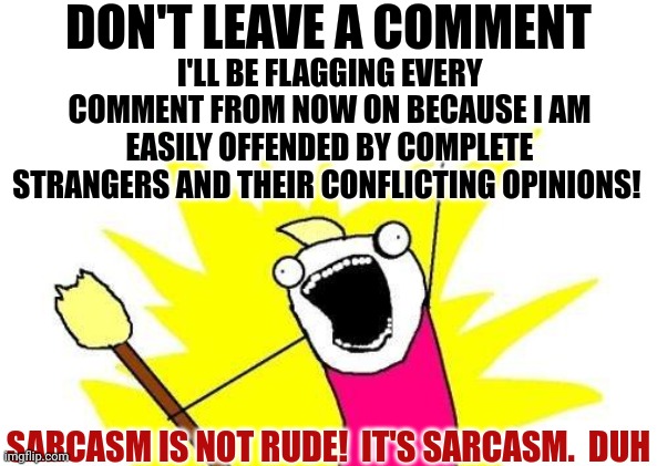 Protest | DON'T LEAVE A COMMENT; I'LL BE FLAGGING EVERY COMMENT FROM NOW ON BECAUSE I AM EASILY OFFENDED BY COMPLETE STRANGERS AND THEIR CONFLICTING OPINIONS! SARCASM IS NOT RUDE!  IT'S SARCASM.  DUH | image tagged in memes,x all the y,meanwhile on imgflip,imgflip nazis,freedom of speech,freedom to be sarcastic | made w/ Imgflip meme maker
