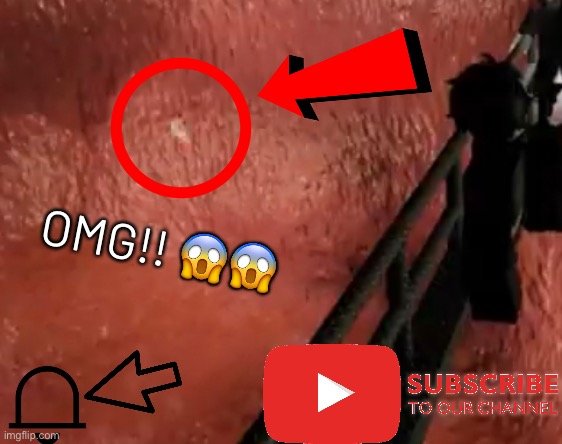 GUY JUMPS INTO THE MYSTERY FLESH PIT AT 3AM (GONE WRONG) (COPEPODS ANGERED) (PARK RANGERS CALLED) | OMG!! 😱😱 | image tagged in shitpost status | made w/ Imgflip meme maker