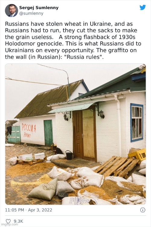 This isn’t fair for the innocent Ukrainians. They are being killed and having their family and crops taken away from them. | image tagged in ukraine,help,war | made w/ Imgflip meme maker