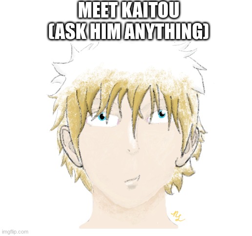 MEET KAITOU
(ASK HIM ANYTHING) | image tagged in blank white template | made w/ Imgflip meme maker