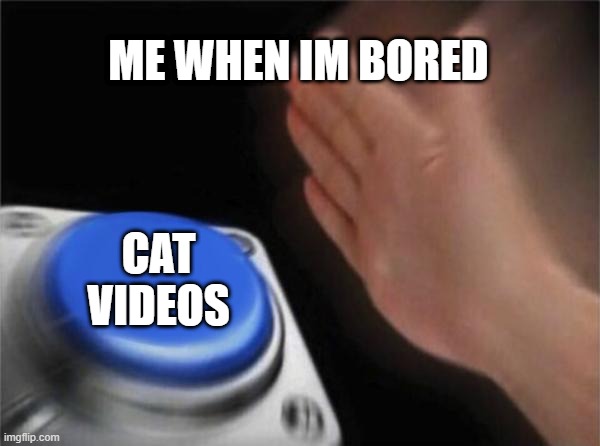 BOREDOM | ME WHEN IM BORED; CAT VIDEOS | image tagged in memes,blank nut button | made w/ Imgflip meme maker