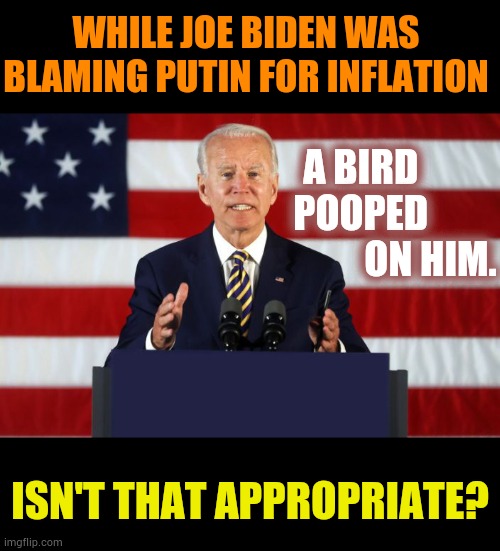 Joe Biden Podium | WHILE JOE BIDEN WAS BLAMING PUTIN FOR INFLATION; A BIRD    POOPED                    ON HIM. ISN'T THAT APPROPRIATE? | image tagged in memes,conservatives,joe biden,blame,bird,poop | made w/ Imgflip meme maker