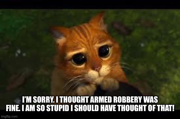 Apology Cat | I’M SORRY. I THOUGHT ARMED ROBBERY WAS FINE. I AM SO STUPID I SHOULD HAVE THOUGHT OF THAT! | image tagged in apology cat | made w/ Imgflip meme maker