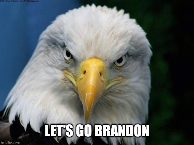 Target Acquired | LET'S GO BRANDON | image tagged in american bald eagle,let me in,cinnamon toast crunch,get outta here | made w/ Imgflip meme maker