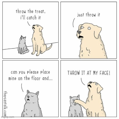 Different animals have different ways | image tagged in comics,cats,dogs,funny,memes,demilked | made w/ Imgflip meme maker