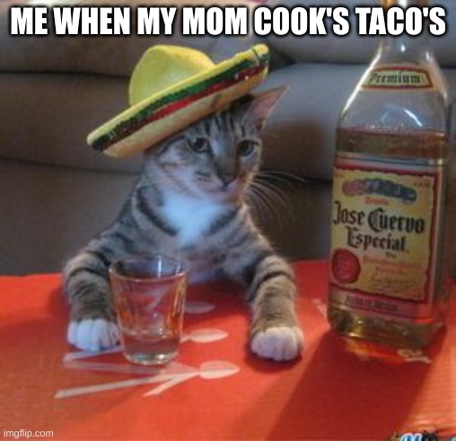 Mexican Cat | ME WHEN MY MOM COOK'S TACO'S | image tagged in mexican cat | made w/ Imgflip meme maker