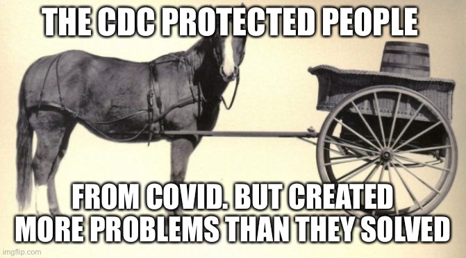 the cart before the horse | THE CDC PROTECTED PEOPLE FROM COVID. BUT CREATED MORE PROBLEMS THAN THEY SOLVED | image tagged in the cart before the horse | made w/ Imgflip meme maker