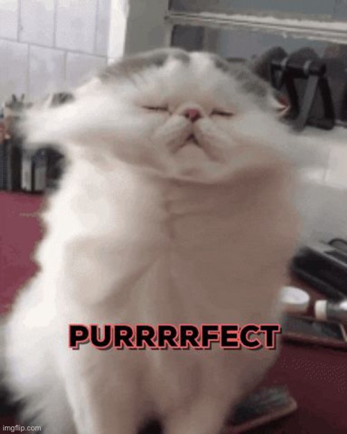 I'M PURRFECT | image tagged in i'm purrfect | made w/ Imgflip meme maker