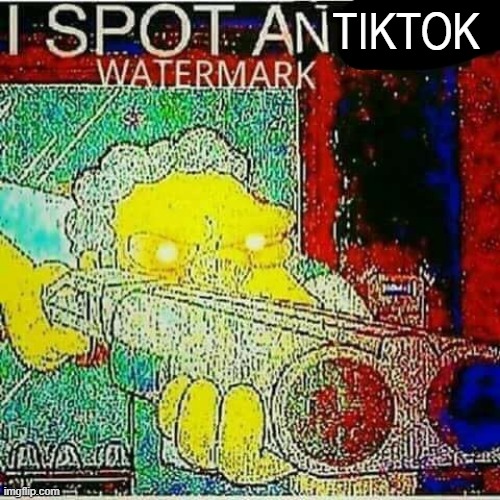 I SPOT AN x WATERMARK | TIKTOK | image tagged in i spot an x watermark | made w/ Imgflip meme maker