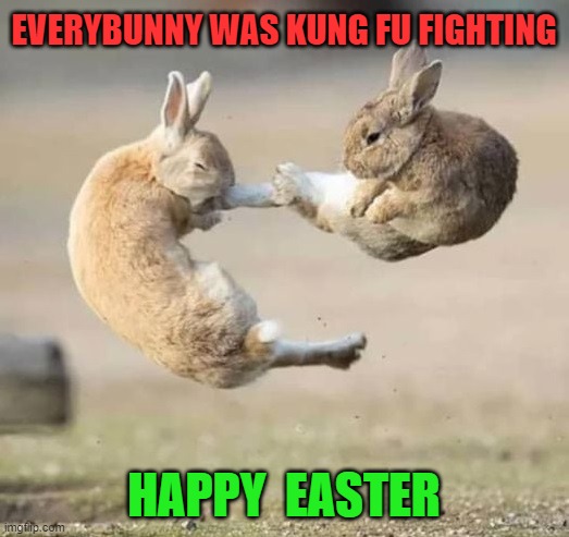 Easter bunny war. |  EVERYBUNNY WAS KUNG FU FIGHTING; HAPPY  EASTER | image tagged in everybunny was kung fu fighting,happy easter,funny memes,eggs,wildlife | made w/ Imgflip meme maker