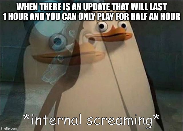 Private Internal Screaming | WHEN THERE IS AN UPDATE THAT WILL LAST 1 HOUR AND YOU CAN ONLY PLAY FOR HALF AN HOUR | image tagged in private internal screaming | made w/ Imgflip meme maker