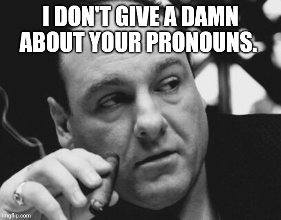 I don't care. | I DON'T GIVE A DAMN ABOUT YOUR PRONOUNS. | image tagged in tony soprano admin gangster | made w/ Imgflip meme maker