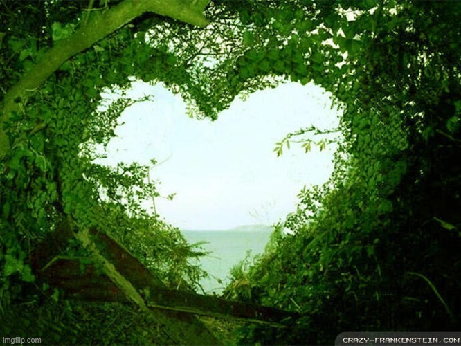 image tagged in awesome | made w/ Imgflip meme maker