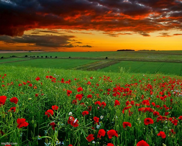 image tagged in awesome | made w/ Imgflip meme maker