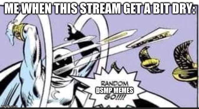 i have way to much freetime | ME WHEN THIS STREAM GET A BIT DRY:; DSMP MEMES | image tagged in random bullshit go,dream smp,memes | made w/ Imgflip meme maker