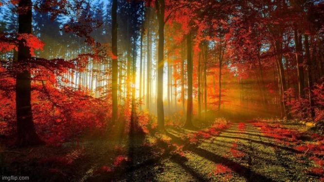 image tagged in awesome | made w/ Imgflip meme maker