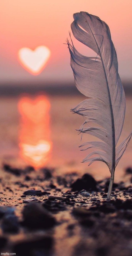 image tagged in awesome | made w/ Imgflip meme maker