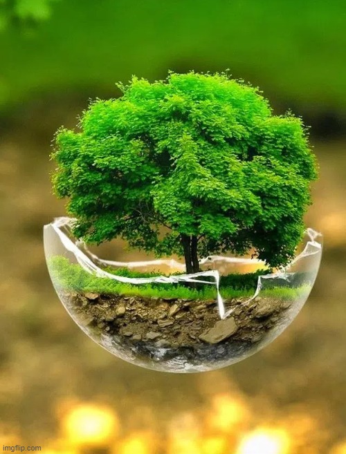 image tagged in awesome | made w/ Imgflip meme maker