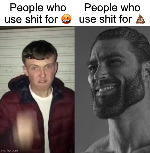 Fortnite battle pass I just shit out of my ass | People who use shit for 💩; People who use shit for 🤬 | image tagged in average fan vs average enjoyer | made w/ Imgflip meme maker