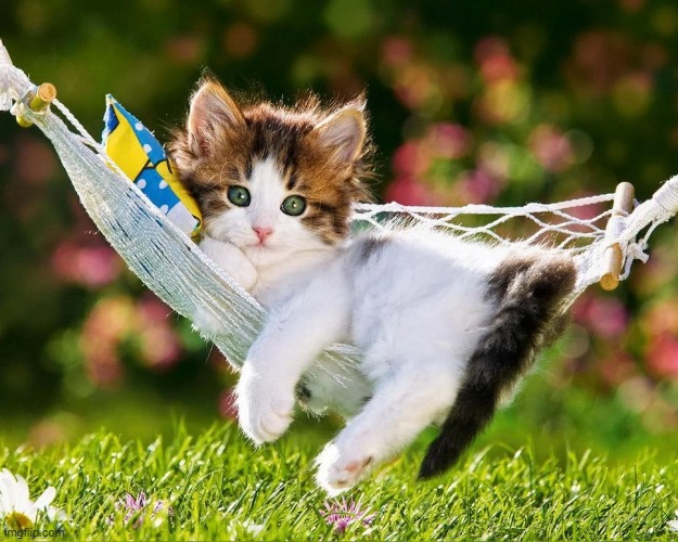 image tagged in awesome | made w/ Imgflip meme maker