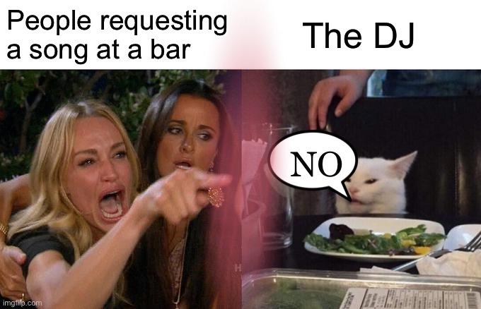 Just really needed a good meme | People requesting a song at a bar; The DJ; NO | image tagged in memes,woman yelling at cat | made w/ Imgflip meme maker