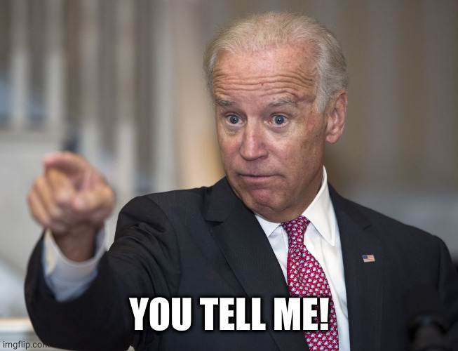 Biden Pointing | YOU TELL ME! | image tagged in biden pointing | made w/ Imgflip meme maker