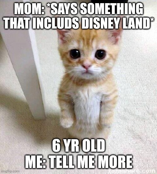 Disney land... |  MOM: *SAYS SOMETHING THAT INCLUDS DISNEY LAND*; 6 YR OLD ME: TELL ME MORE | image tagged in memes,cute cat | made w/ Imgflip meme maker