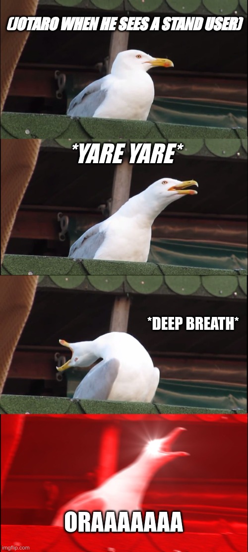 Inhaling Seagull | (JOTARO WHEN HE SEES A STAND USER); *YARE YARE*; *DEEP BREATH*; ORAAAAAAA | image tagged in memes,inhaling seagull | made w/ Imgflip meme maker