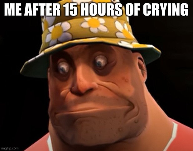 THIS MEME IS REALLY OLD HELP | ME AFTER 15 HOURS OF CRYING | image tagged in tf2 | made w/ Imgflip meme maker