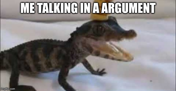 loligater | ME TALKING IN A ARGUMENT | image tagged in baby alligator | made w/ Imgflip meme maker