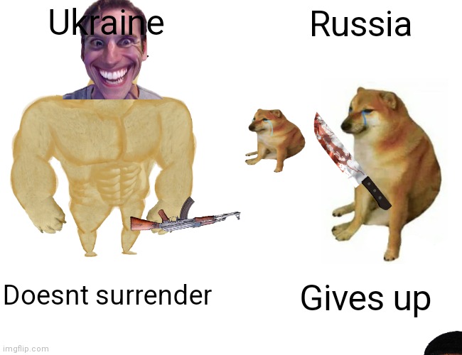 Buff Doge vs. Cheems Meme | Ukraine; Russia; Doesnt surrender; Gives up | image tagged in memes,buff doge vs cheems | made w/ Imgflip meme maker