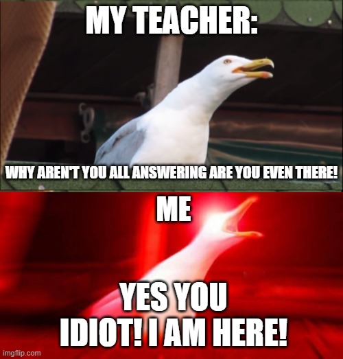 Are You There? | MY TEACHER:; WHY AREN'T YOU ALL ANSWERING ARE YOU EVEN THERE! ME; YES YOU IDIOT! I AM HERE! | image tagged in inhaling seagull,teacher,online class,online school,annoying,unhelpful teacher | made w/ Imgflip meme maker