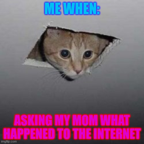 What happened to the Internet | ME WHEN:; ASKING MY MOM WHAT HAPPENED TO THE INTERNET | image tagged in cat | made w/ Imgflip meme maker