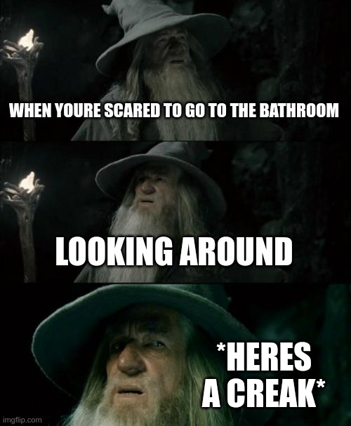 Confused Gandalf Meme | WHEN YOURE SCARED TO GO TO THE BATHROOM; LOOKING AROUND; *HERES A CREAK* | image tagged in memes,confused gandalf | made w/ Imgflip meme maker