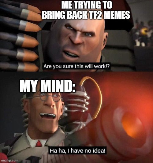 will it work? | ME TRYING TO BRING BACK TF2 MEMES; MY MIND: | image tagged in are you sure this will work ha ha i have no idea,tf2 | made w/ Imgflip meme maker