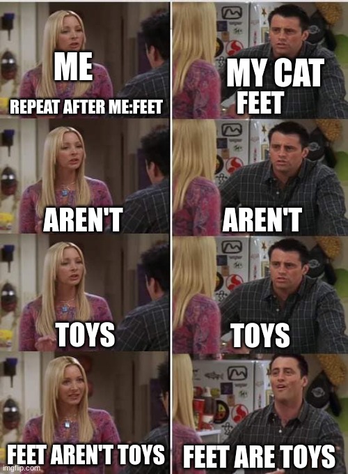 I have had many sleepless nights cuz of this | MY CAT; ME; REPEAT AFTER ME:FEET; FEET; AREN'T; AREN'T; TOYS; TOYS; FEET AREN'T TOYS; FEET ARE TOYS | image tagged in phoebe joey,cat | made w/ Imgflip meme maker