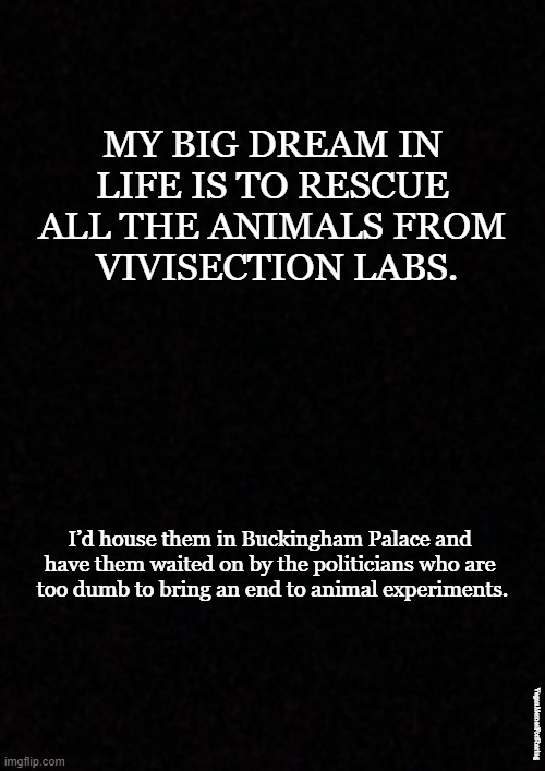 Vivisection |  MY BIG DREAM IN LIFE IS TO RESCUE ALL THE ANIMALS FROM
 VIVISECTION LABS. I’d house them in Buckingham Palace and 
have them waited on by the politicians who are 
too dumb to bring an end to animal experiments. VeganMemesForSharing | image tagged in vegan,vivisection,animal experiments,science,vivisectors | made w/ Imgflip meme maker