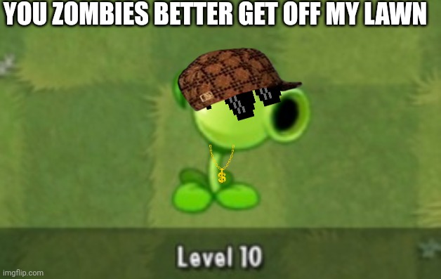 Peashooter in the hood | YOU ZOMBIES BETTER GET OFF MY LAWN | image tagged in plants vs zombies | made w/ Imgflip meme maker