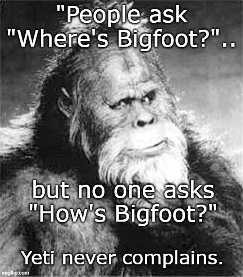Never ever complains |  "People ask "Where's Bigfoot?".. but no one asks "How's Bigfoot?"; Yeti never complains. | image tagged in bigfoot | made w/ Imgflip meme maker