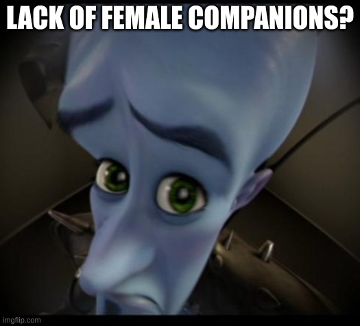So you lack of female companions? | LACK OF FEMALE COMPANIONS? | image tagged in no bitches | made w/ Imgflip meme maker