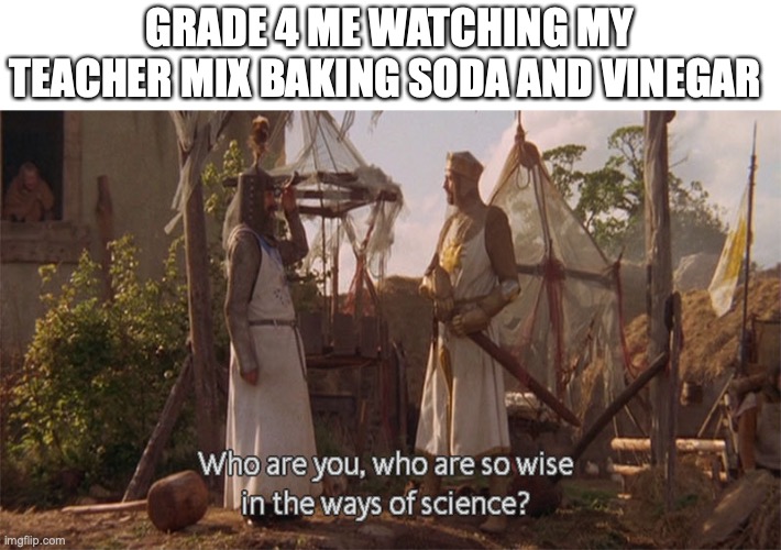it looked so hard to do | GRADE 4 ME WATCHING MY TEACHER MIX BAKING SODA AND VINEGAR | image tagged in who are you so wise in the ways of science,funny,memes,fun,science | made w/ Imgflip meme maker