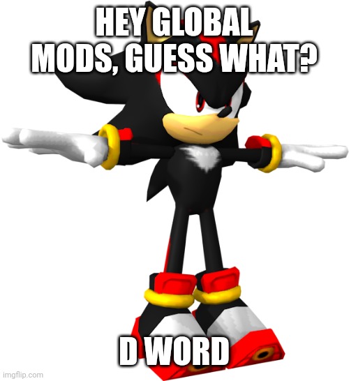 shadow the hedgehog t pose | HEY GLOBAL MODS, GUESS WHAT? D WORD | image tagged in shadow the hedgehog t pose | made w/ Imgflip meme maker