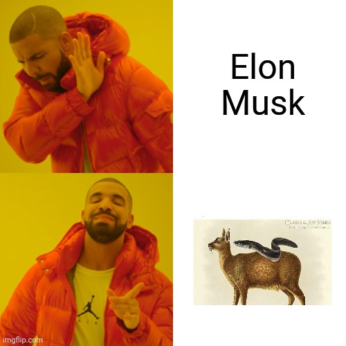 Elon Musk? ??✅ | Elon Musk | image tagged in memes,drake hotline bling | made w/ Imgflip meme maker