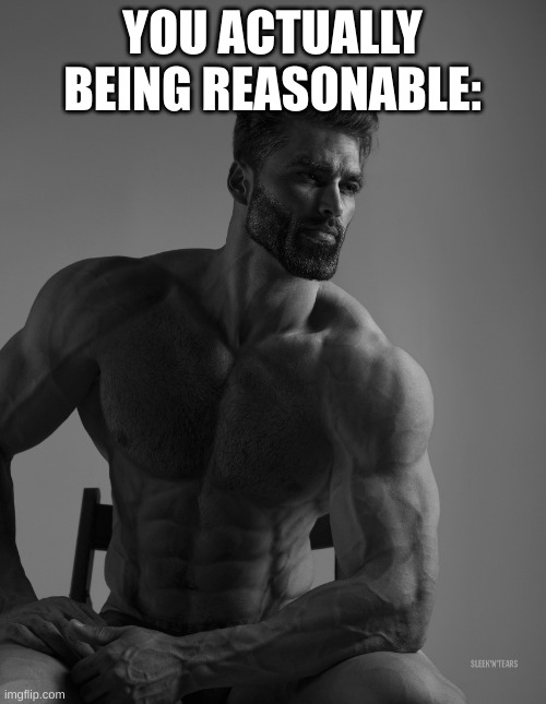 Giga Chad | YOU ACTUALLY BEING REASONABLE: | image tagged in giga chad | made w/ Imgflip meme maker