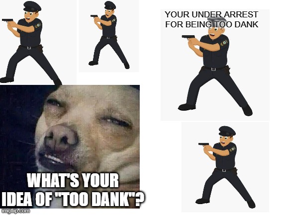 no such thing as "TOO DANK" | YOUR UNDER ARREST FOR BEING TOO DANK; WHAT'S YOUR IDEA OF "TOO DANK"? | image tagged in blank white template | made w/ Imgflip meme maker