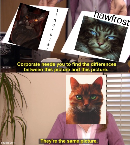hawkfrost and  tigerstar | hawfrost; t
i
g
e
r
s
t
a
r | image tagged in memes,they're the same picture,warriors,warrior cats,cats,cat | made w/ Imgflip meme maker