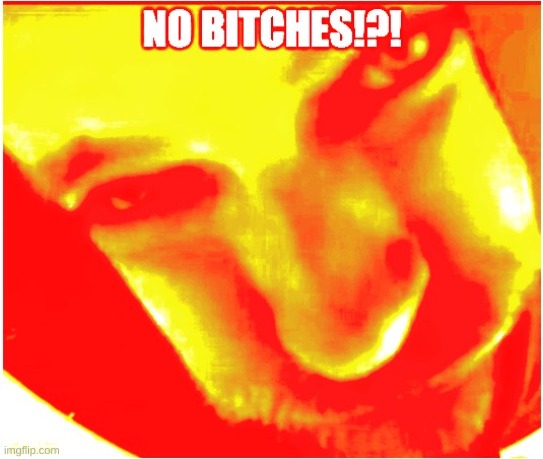 no bitches!?! | image tagged in none | made w/ Imgflip meme maker