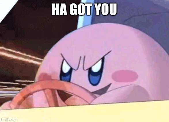 KIRBY HAS GOT YOU! | HA GOT YOU | image tagged in kirby has got you | made w/ Imgflip meme maker