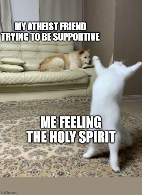 You do you | MY ATHEIST FRIEND TRYING TO BE SUPPORTIVE; ME FEELING THE HOLY SPIRIT | image tagged in dank,christian,memes,r/dankchristianmemes | made w/ Imgflip meme maker