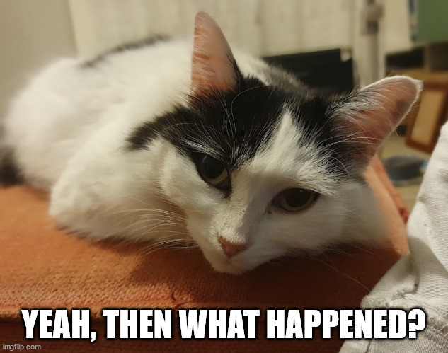 Interested Kitty | YEAH, THEN WHAT HAPPENED? | image tagged in interested kitty | made w/ Imgflip meme maker